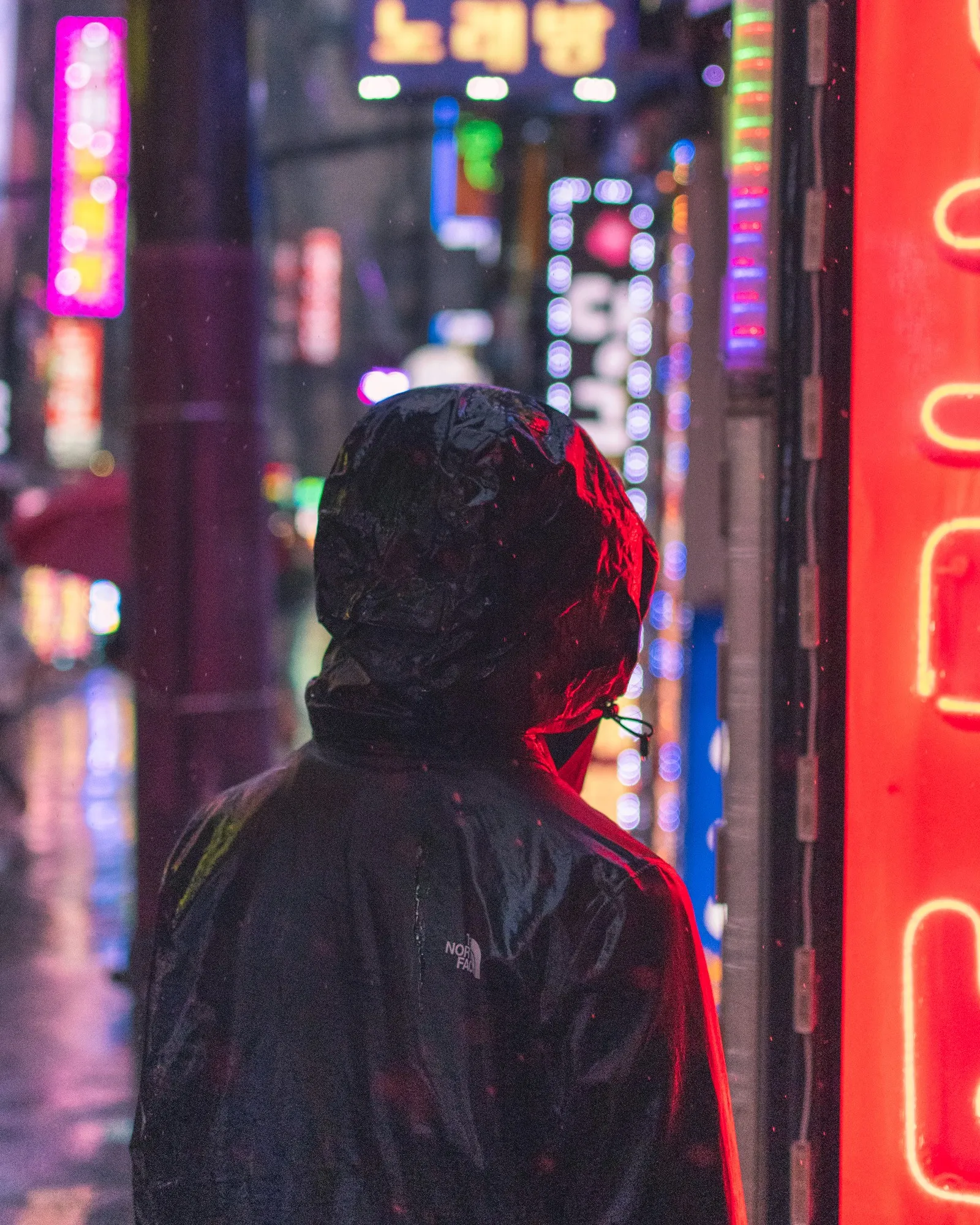 Thumbnail for Photography