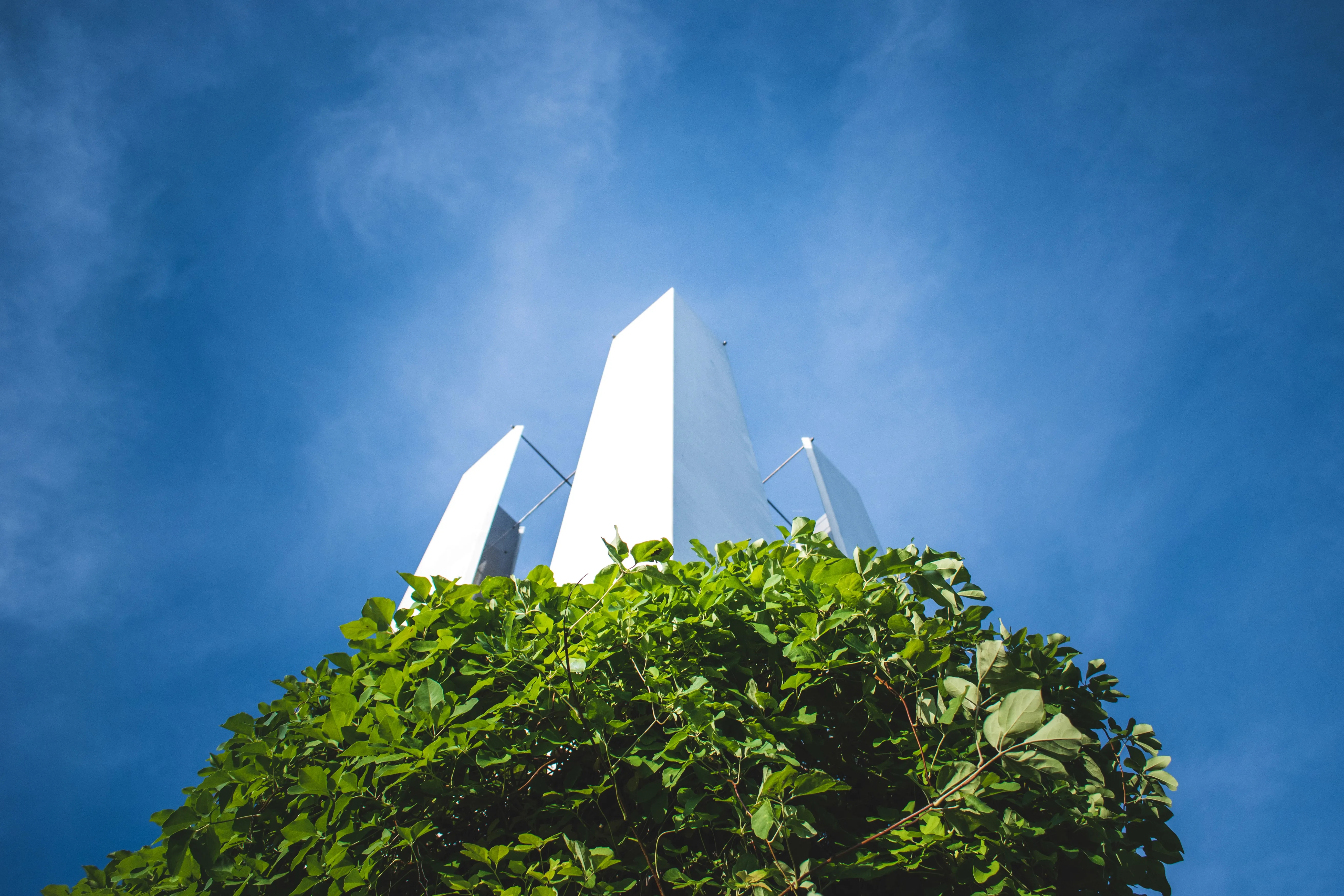 Photography gallery visual 9