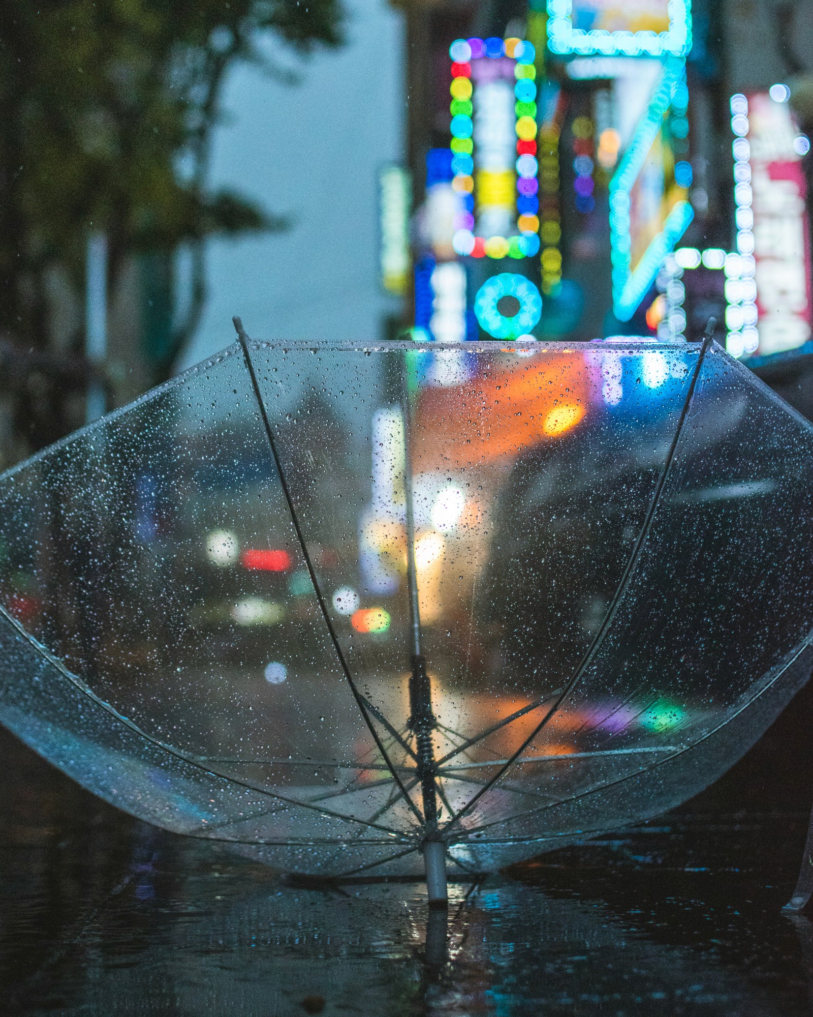 Photography — gallery visual