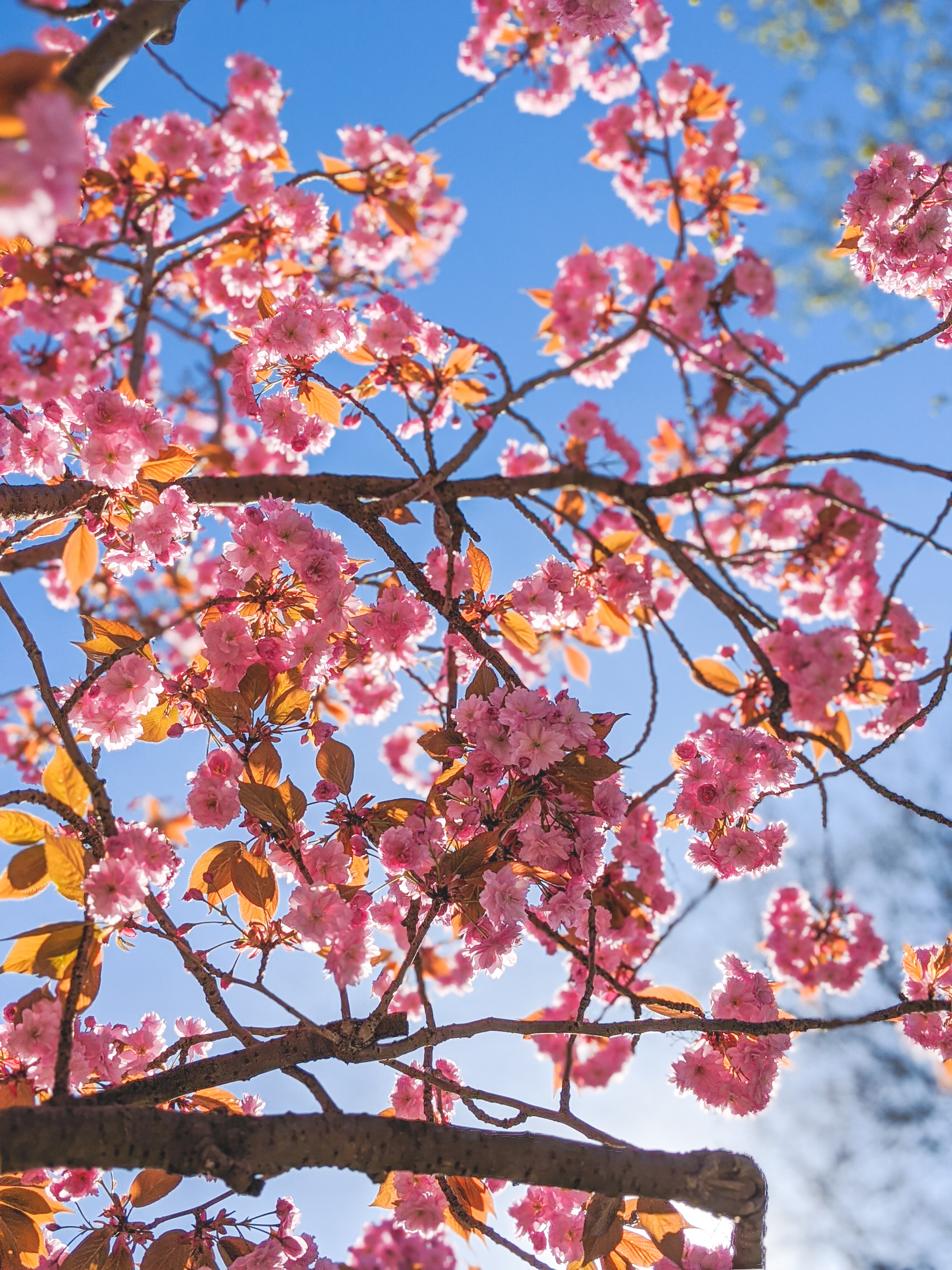 Photography — gallery visual