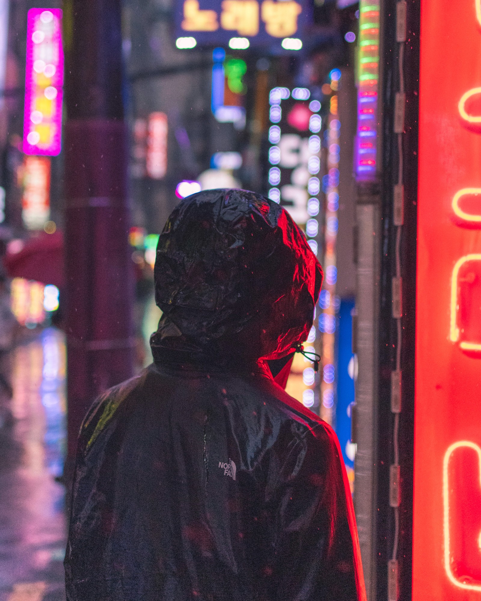 Thumbnail for Photography