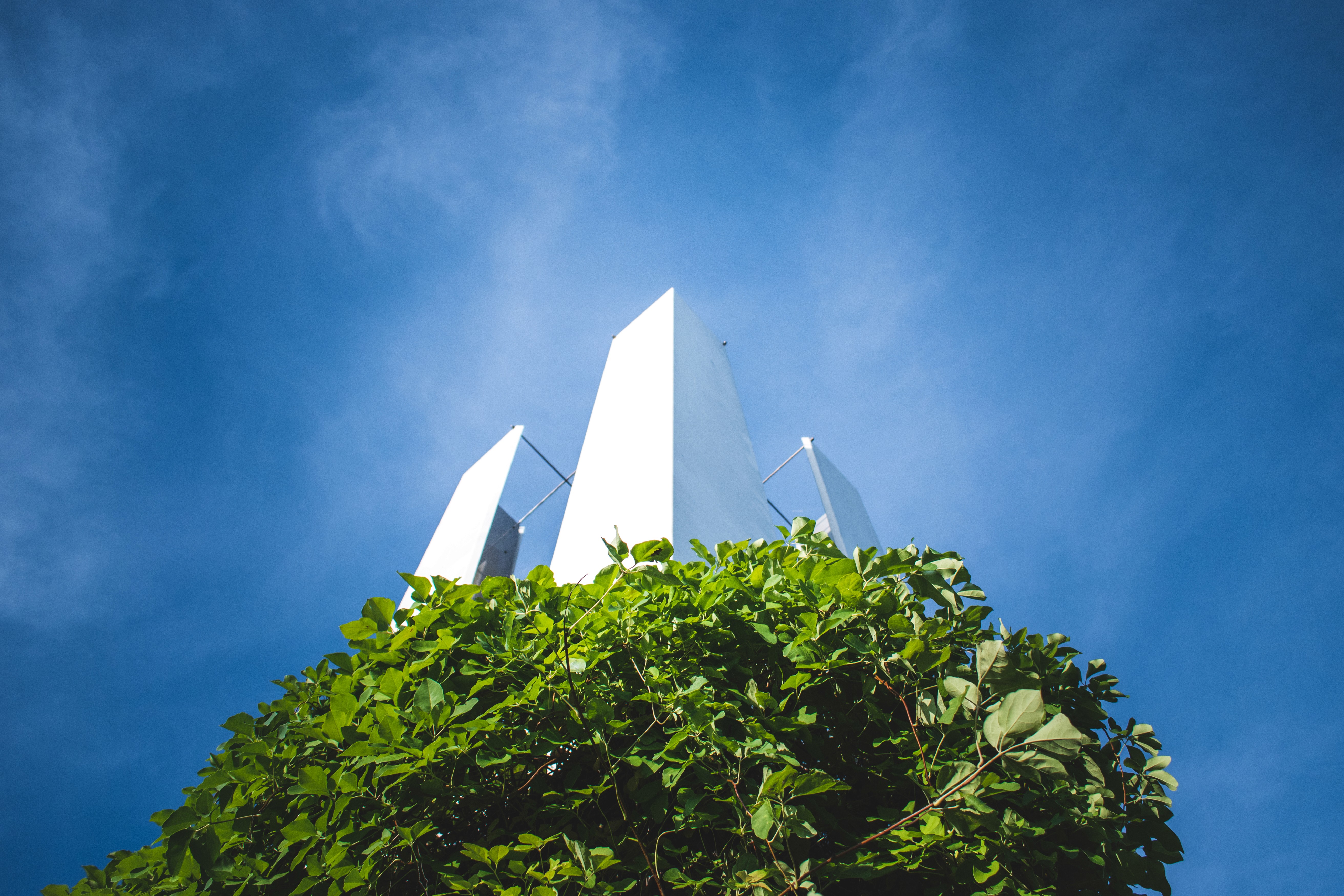 Photography — gallery visual