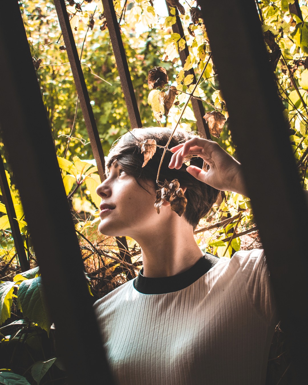 Photography — gallery visual