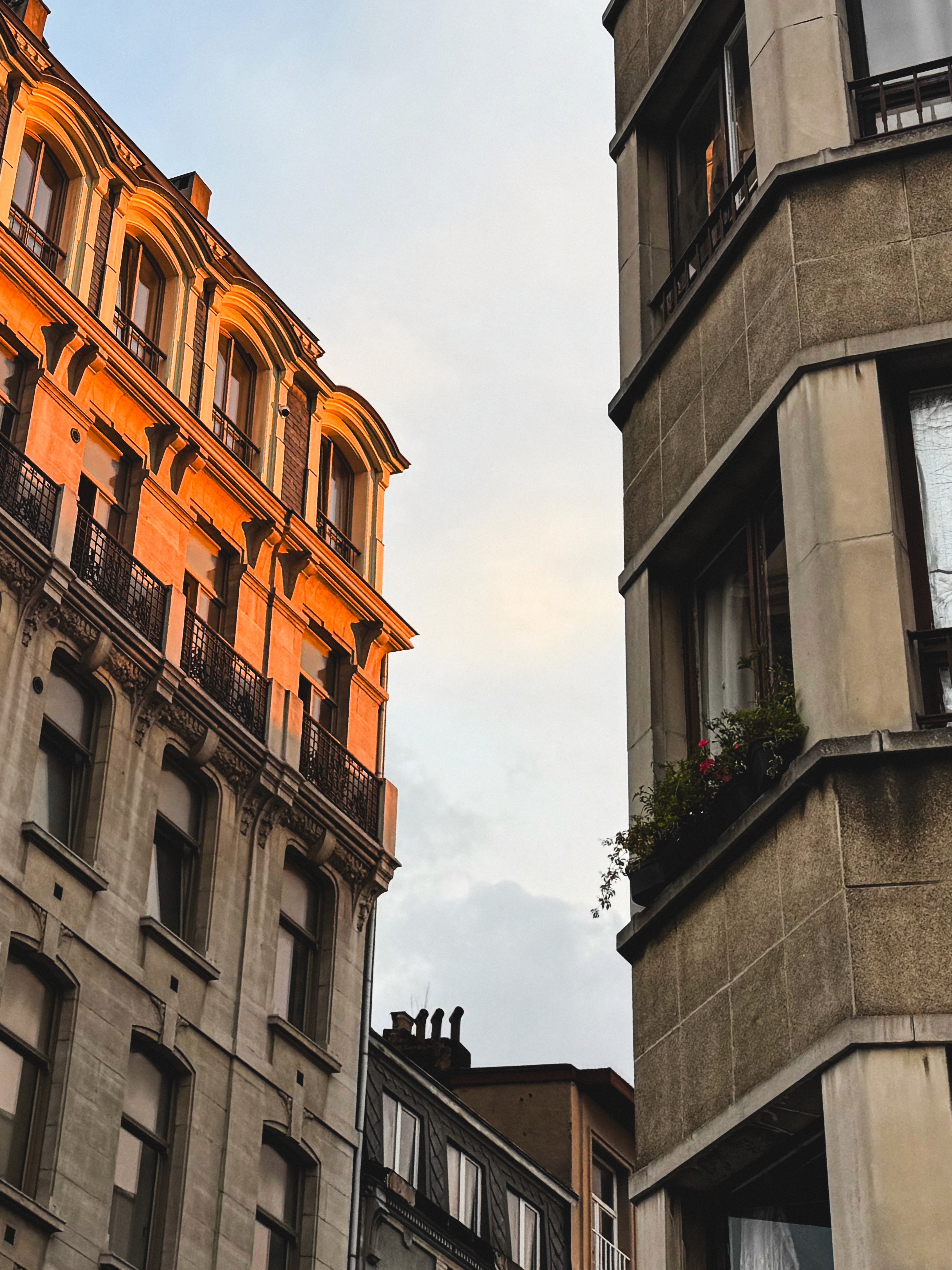 Photography — gallery visual